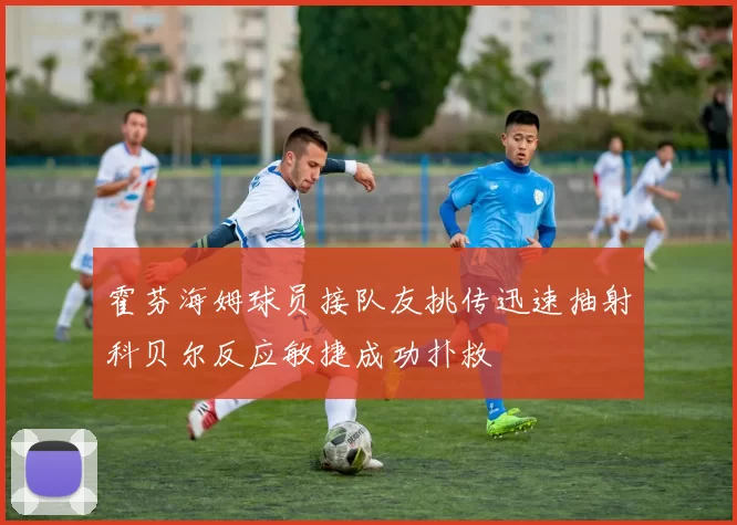 霍芬海姆球员接队友挑传迅速抽射科贝尔反应敏捷成功扑救